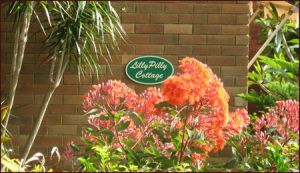 Lillypilly - Tweed Heads Accommodation
