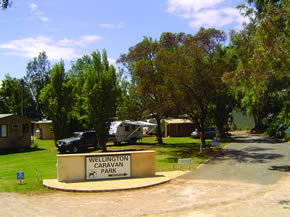 Wellington Caravan Park - Tweed Heads Accommodation