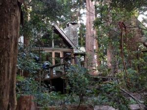 Coolgarra Bush House - Tweed Heads Accommodation