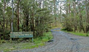 Devils Hole campground and picnic area - Tweed Heads Accommodation