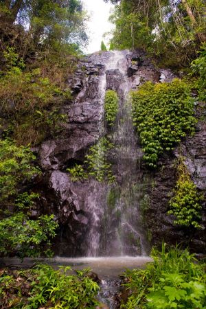 Nimbin waterfall retreat - Tweed Heads Accommodation
